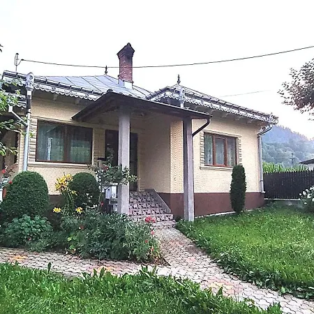 Vila Telec - Bicazu Ardelean Exterior photo